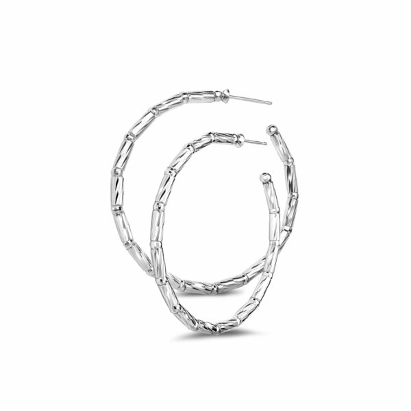 Hoop  Women  900/850PT  Earrings PTE8011