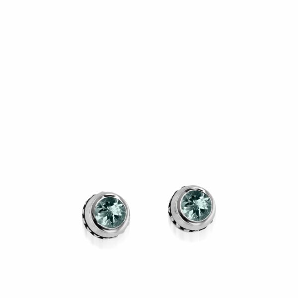 Stud  Unisex    Earrings 22-E2737SSAQ