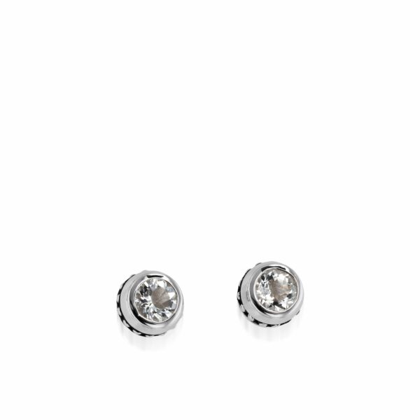 Stud  Unisex    Earrings 22-E2737SSWT