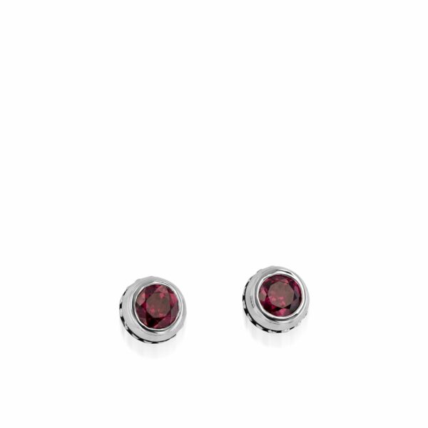Stud  Unisex    Earrings 22-E2737SSRG