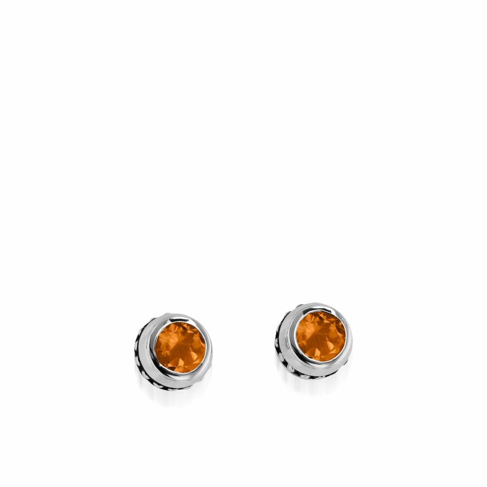 Stud  Women    Earrings 22-E2737SSYC