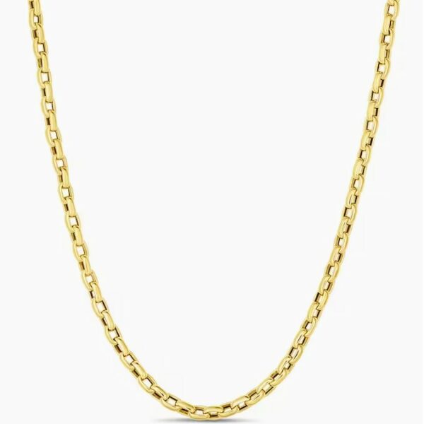 Everyday Chain  Women 22 18 Polished Necklace 5310166AY220